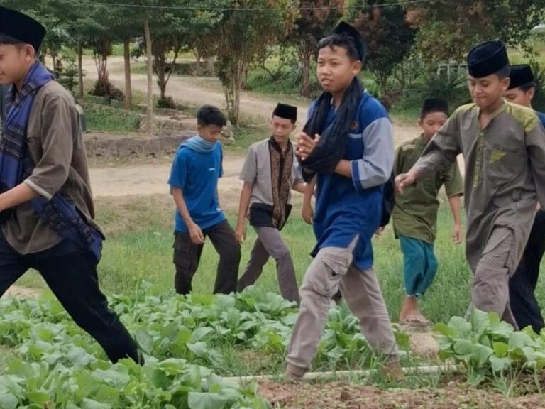 Santri berjalan di antara bedengan sayur di kebun pesantren