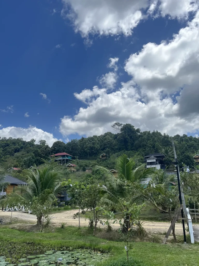 Pondok-pondok kayu di lereng bukit hijau kawasan Agrowisata California